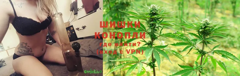 Каннабис White Widow  Малаховка 